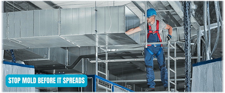 Air Duct Mold Removal in Irving