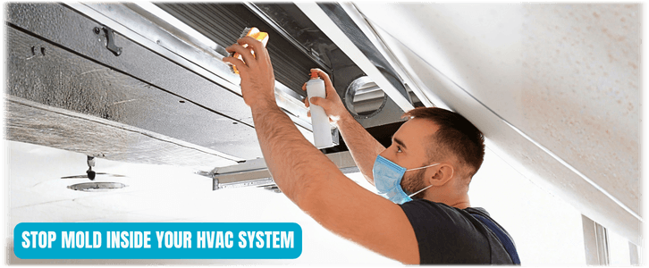 HVAC Mold Removal Irving